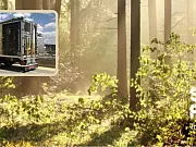 Sonae Arauco - EIN GLOBALES UNTERNEHMEN